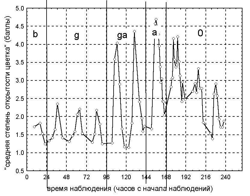 Graph1