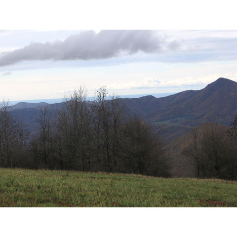 Пейзаж с горами