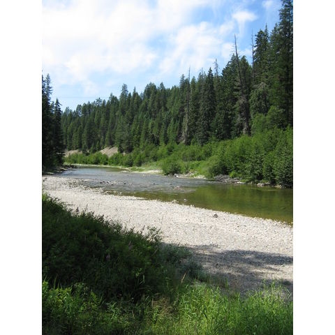 Priest River fork