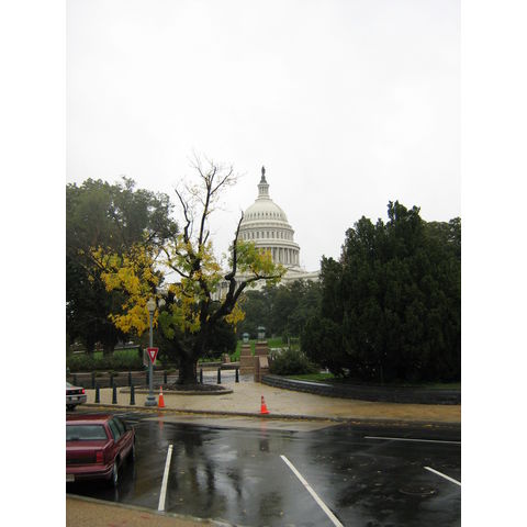 US Capitol