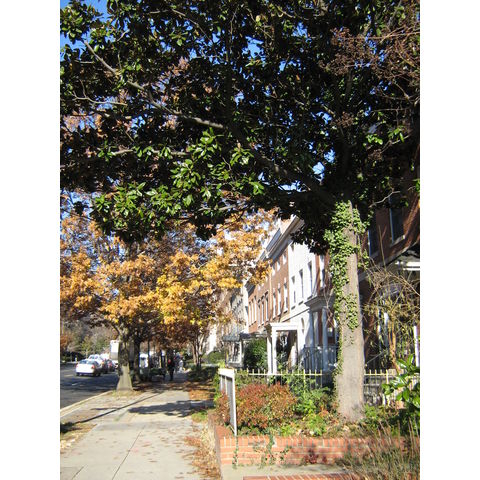 Washington, D.C., Connecticut Ave
