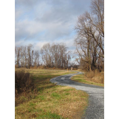 Eastern Neck
