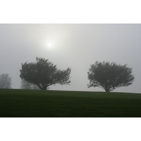 Mist
