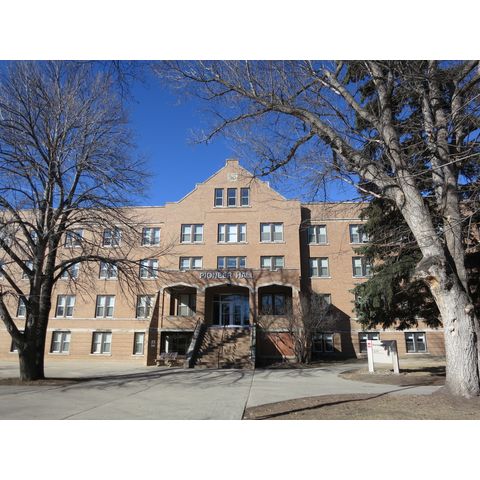 These trees were planted in 1924 together with trees in front of Old Main