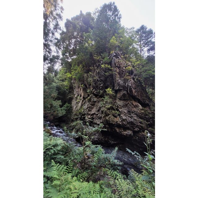 Kouchidanigawa (河内谷川)